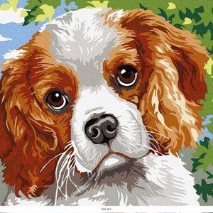 High Rise full cover briefs Black